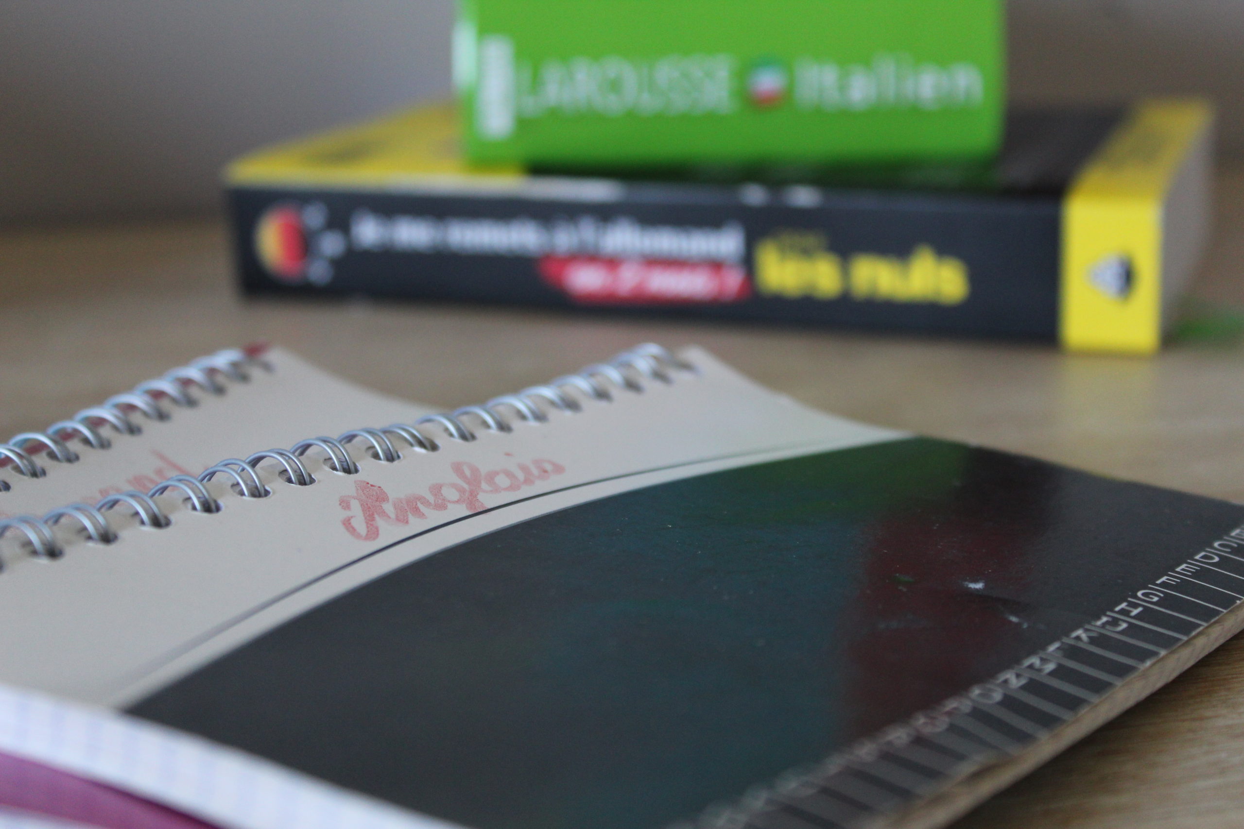 Image d'illustration de l'apprentissage des langues seul